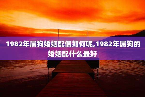 1982年属狗婚姻配偶如何呢,1982年属狗的婚姻配什么最好