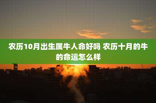 农历10月出生属牛人命好吗 农历十月的牛的命运怎么样