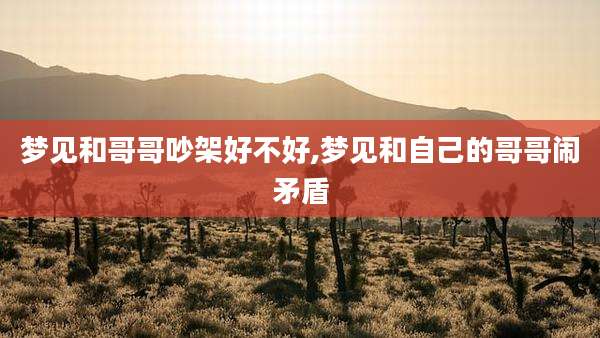 梦见和哥哥吵架好不好,梦见和自己的哥哥闹矛盾