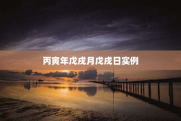 丙寅年戊戌月戊戌日实例