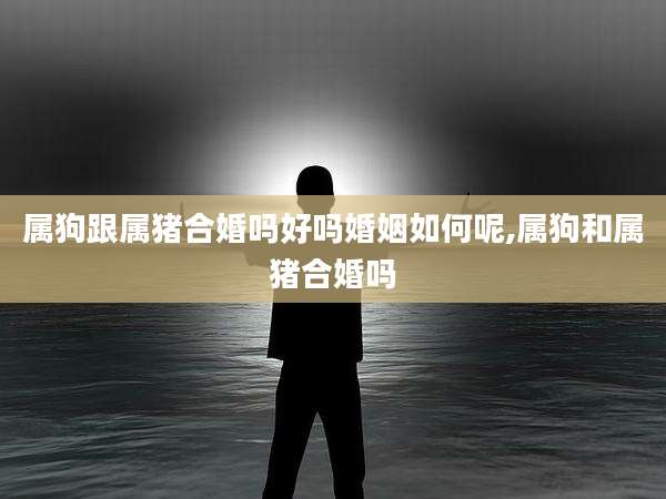 属狗跟属猪合婚吗好吗婚姻如何呢,属狗和属猪合婚吗