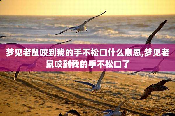 梦见老鼠咬到我的手不松口什么意思,梦见老鼠咬到我的手不松口了