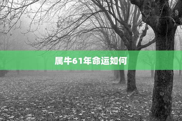 属牛61年命运如何