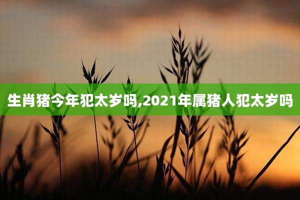 生肖猪今年犯太岁吗,2021年属猪人犯太岁吗