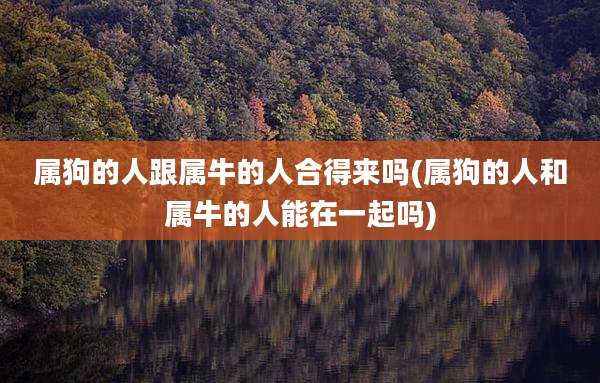 属狗的人跟属牛的人合得来吗(属狗的人和属牛的人能在一起吗)