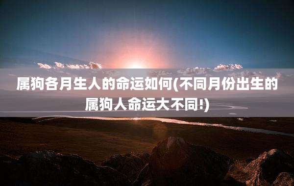 属狗各月生人的命运如何(不同月份出生的属狗人命运大不同!)
