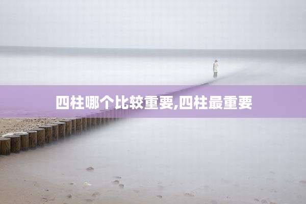 四柱哪个比较重要,四柱最重要