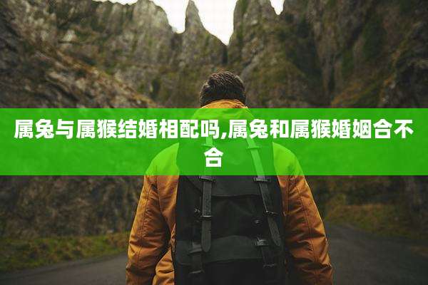 属兔与属猴结婚相配吗,属兔和属猴婚姻合不合