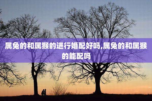 属兔的和属猴的进行婚配好吗,属兔的和属猴的能配吗