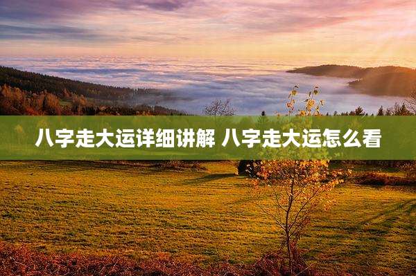 八字走大运详细讲解 八字走大运怎么看