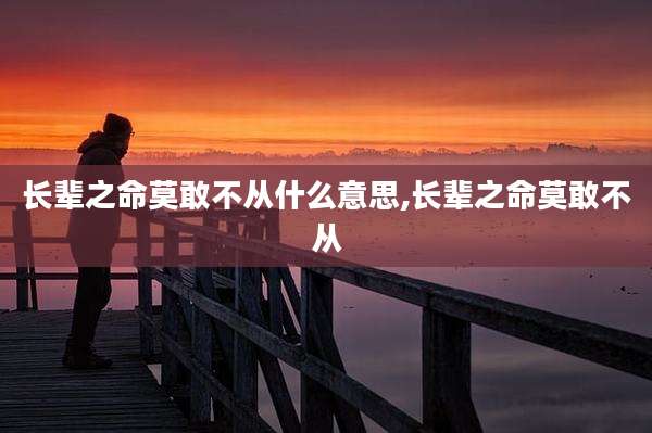 长辈之命莫敢不从什么意思,长辈之命莫敢不从