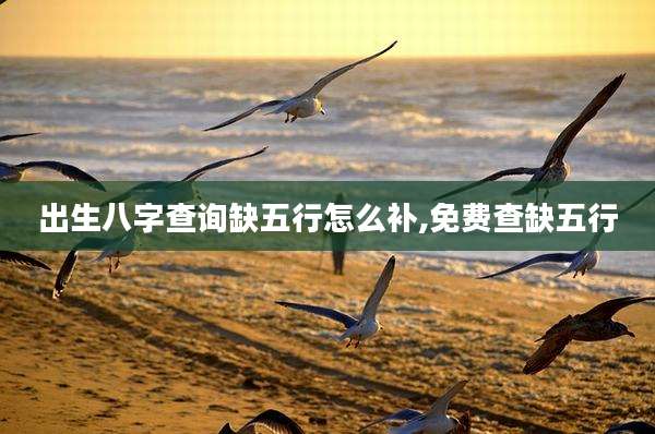 出生八字查询缺五行怎么补,免费查缺五行