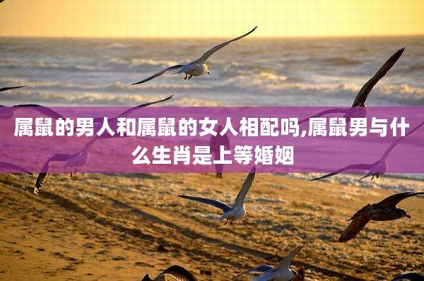 属鼠的男人和属鼠的女人相配吗,属鼠男与什么生肖是上等婚姻