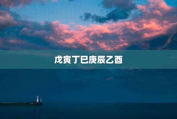 戊寅丁巳庚辰乙酉