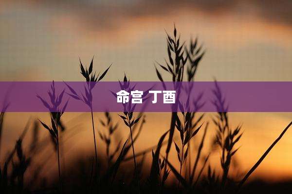 命宫 丁酉