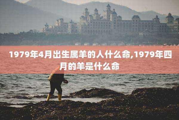 1979年4月出生属羊的人什么命,1979年四月的羊是什么命