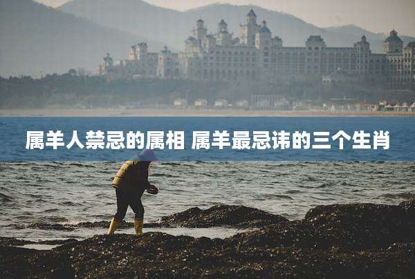 属羊人禁忌的属相 属羊最忌讳的三个生肖