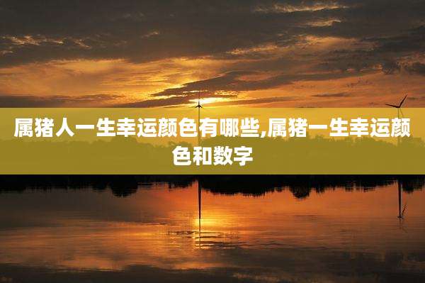 属猪人一生幸运颜色有哪些,属猪一生幸运颜色和数字