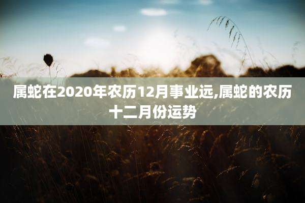 属蛇在2020年农历12月事业远,属蛇的农历十二月份运势