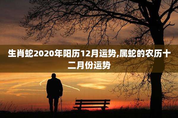 生肖蛇2020年阳历12月运势,属蛇的农历十二月份运势