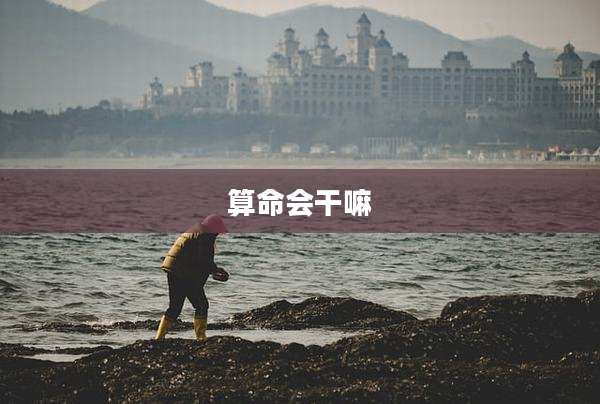 算命会干嘛
