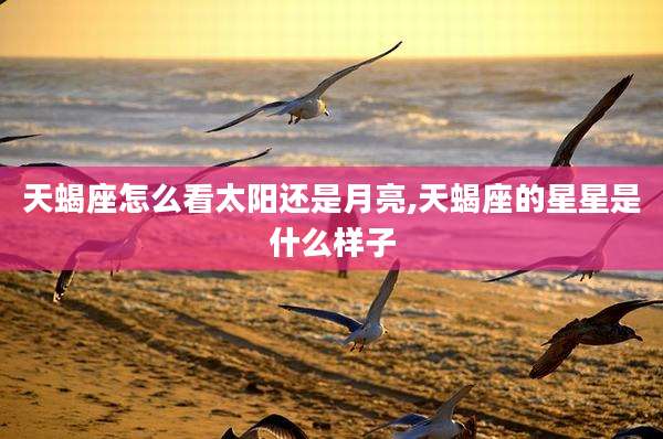 天蝎座怎么看太阳还是月亮,天蝎座的星星是什么样子