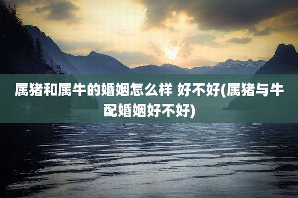 属猪和属牛的婚姻怎么样 好不好(属猪与牛配婚姻好不好)