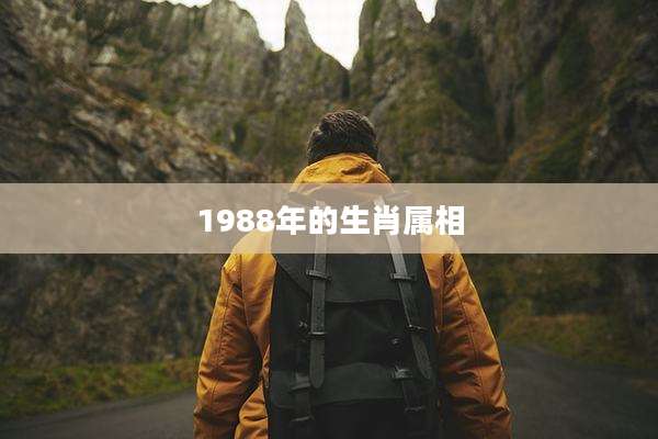 1988年的生肖属相