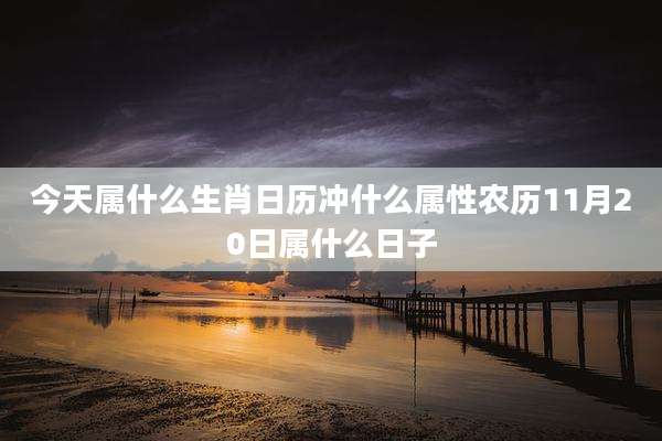 今天属什么生肖日历冲什么属性农历11月20日属什么日子