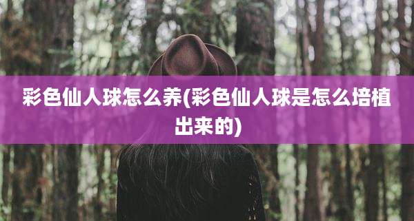 彩色仙人球怎么养(彩色仙人球是怎么培植出来的)