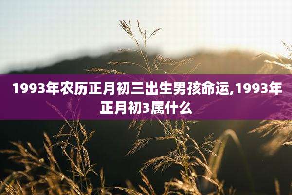 1993年农历正月初三出生男孩命运,1993年正月初3属什么