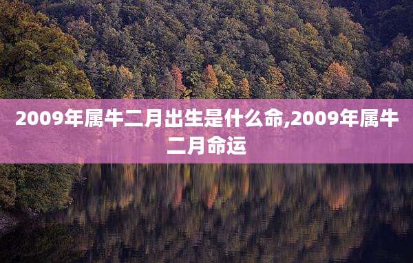 2009年属牛二月出生是什么命,2009年属牛二月命运