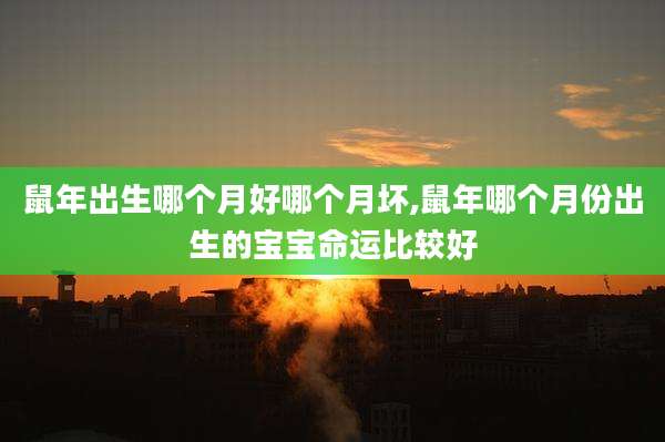 鼠年出生哪个月好哪个月坏,鼠年哪个月份出生的宝宝命运比较好