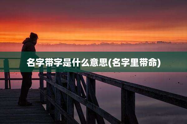 名字带字是什么意思(名字里带命)