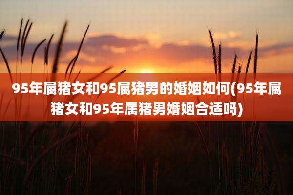 95年属猪女和95属猪男的婚姻如何(95年属猪女和95年属猪男婚姻合适吗)