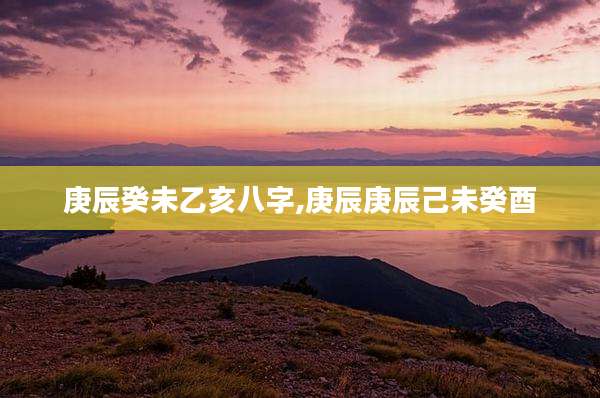 庚辰癸未乙亥八字,庚辰庚辰己未癸酉