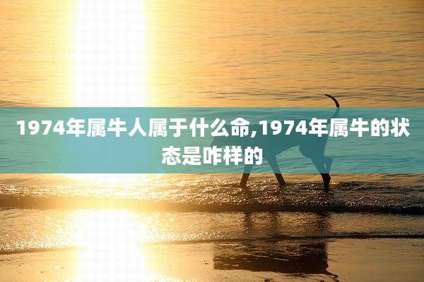 1974年属牛人属于什么命,1974年属牛的状态是咋样的