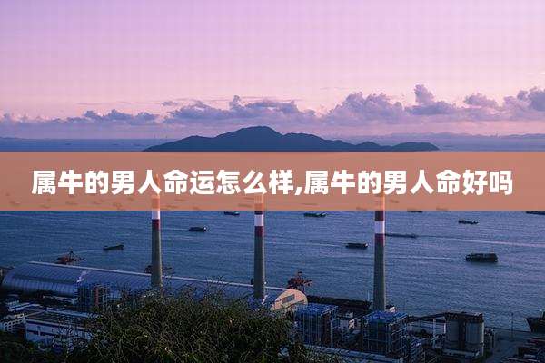 属牛的男人命运怎么样,属牛的男人命好吗
