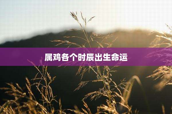 属鸡各个时辰出生命运