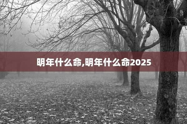 明年什么命,明年什么命2025