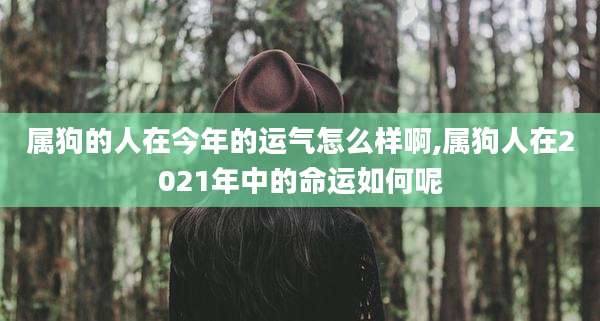 属狗的人在今年的运气怎么样啊,属狗人在2021年中的命运如何呢