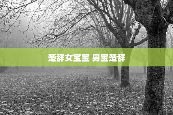 楚辞女宝宝 男宝楚辞