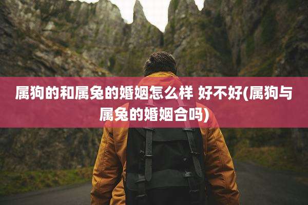 属狗的和属兔的婚姻怎么样 好不好(属狗与属兔的婚姻合吗)
