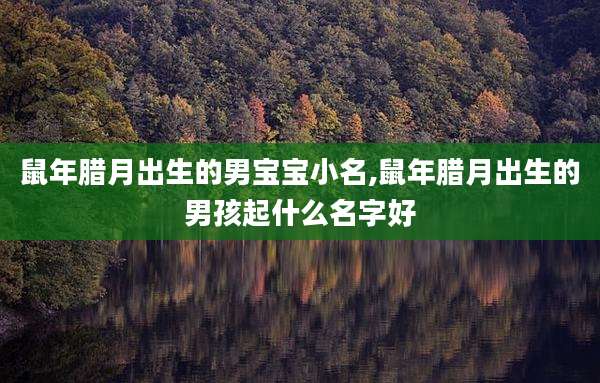 鼠年腊月出生的男宝宝小名,鼠年腊月出生的男孩起什么名字好