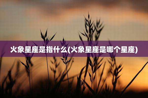 火象星座是指什么(火象星座是哪个星座)