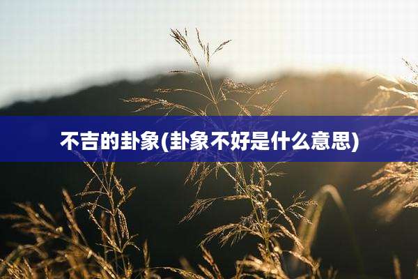 不吉的卦象(卦象不好是什么意思)