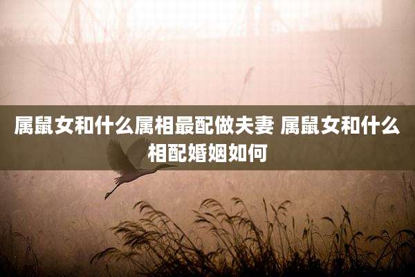 属鼠女和什么属相最配做夫妻 属鼠女和什么相配婚姻如何