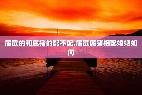 属鼠的和属猪的配不配,属鼠属猪相配婚姻如何