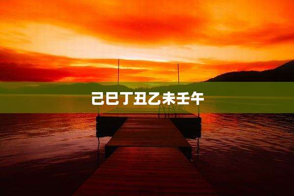 己巳丁丑乙未壬午