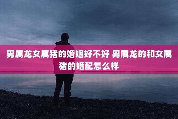 男属龙女属猪的婚姻好不好 男属龙的和女属猪的婚配怎么样